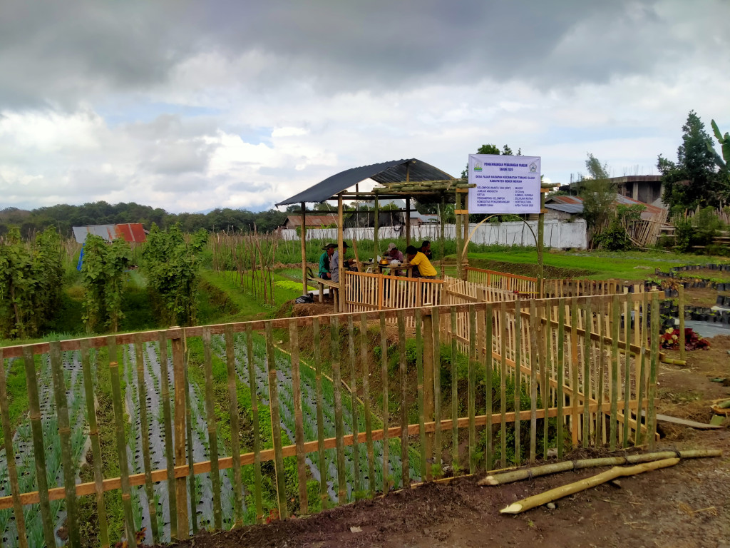 lokasi tanaman kelompok wanita muger Kampung Fajar Harapan